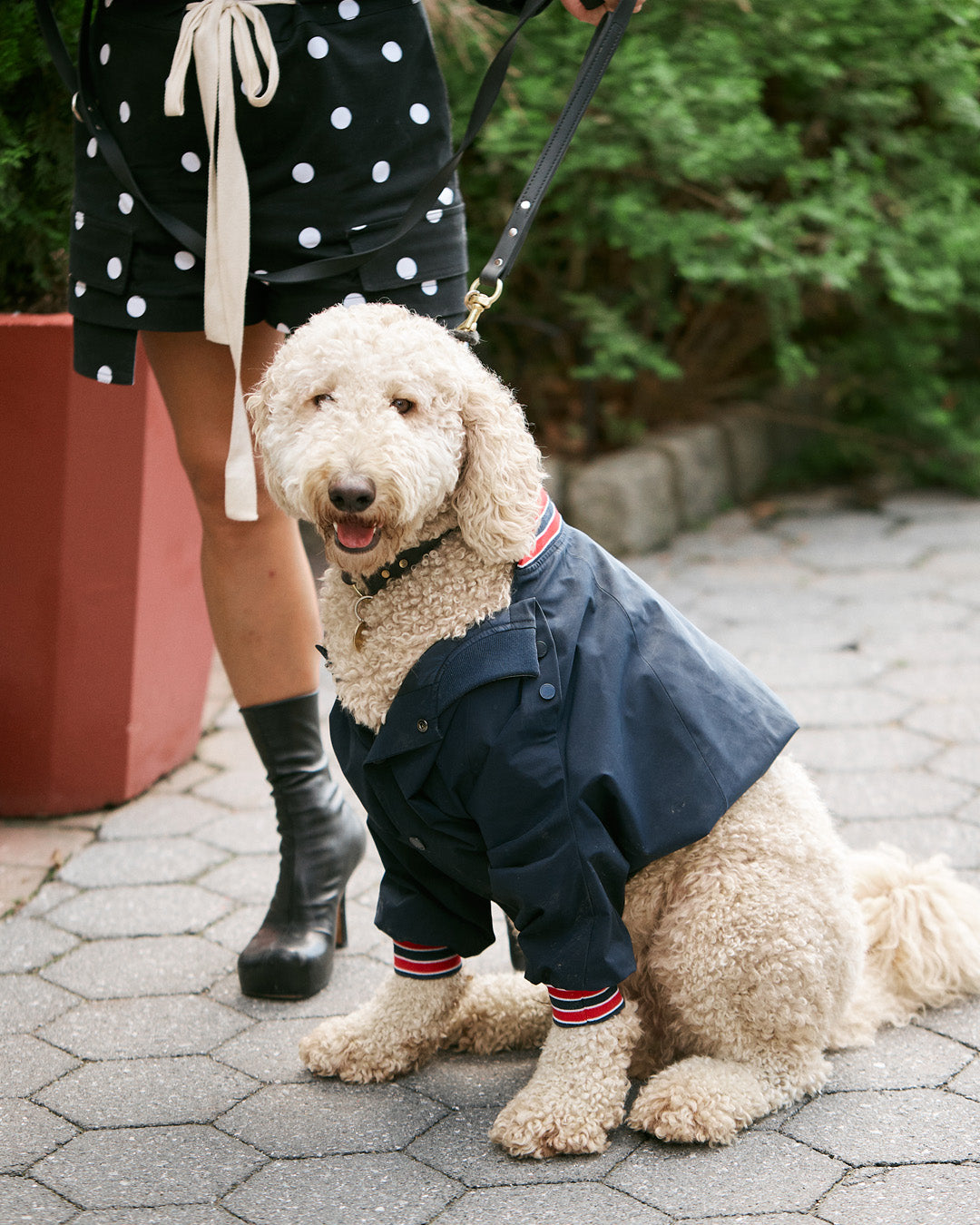 MONSE Spring 2023 Runway Show Front Row Milou Image 11