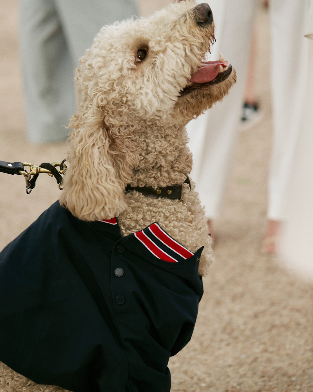 MONSE Spring 2023 Runway Show Front Row Image of Milou