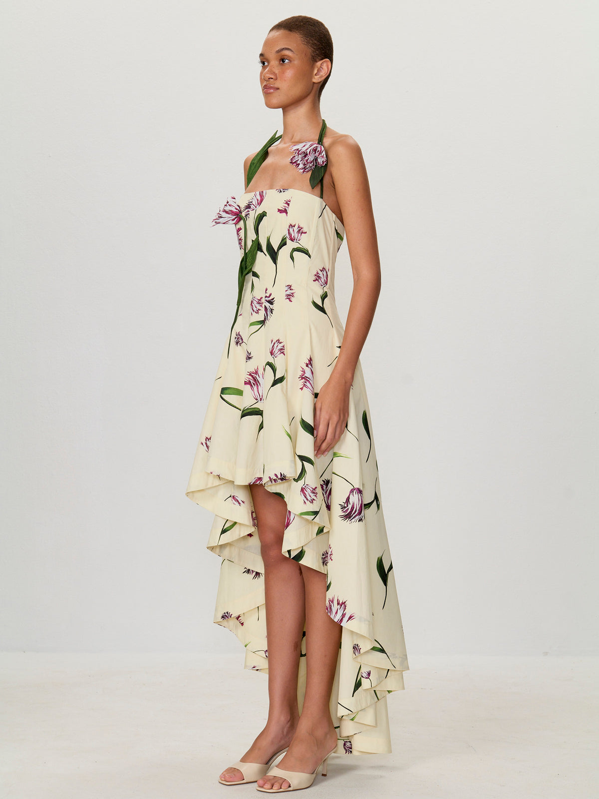 Allover Tulip Cotton Poplin Print