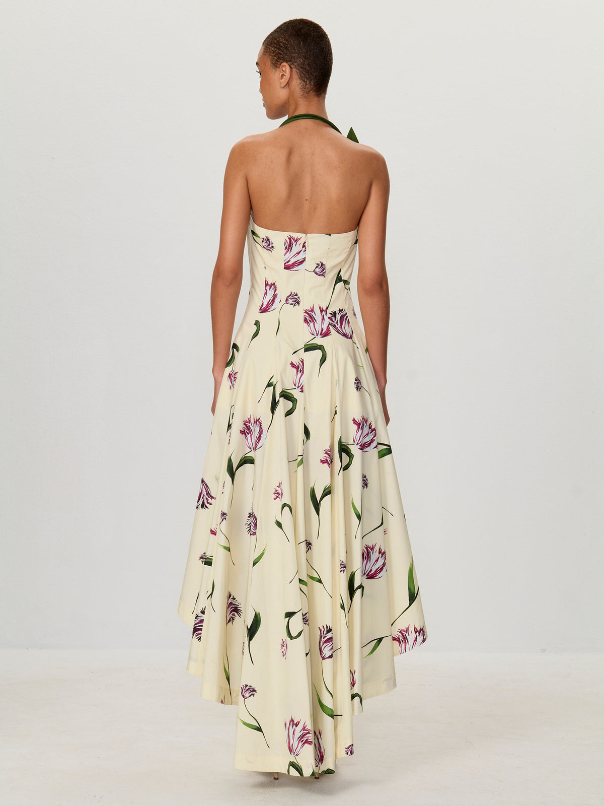 Allover Tulip Cotton Poplin Print