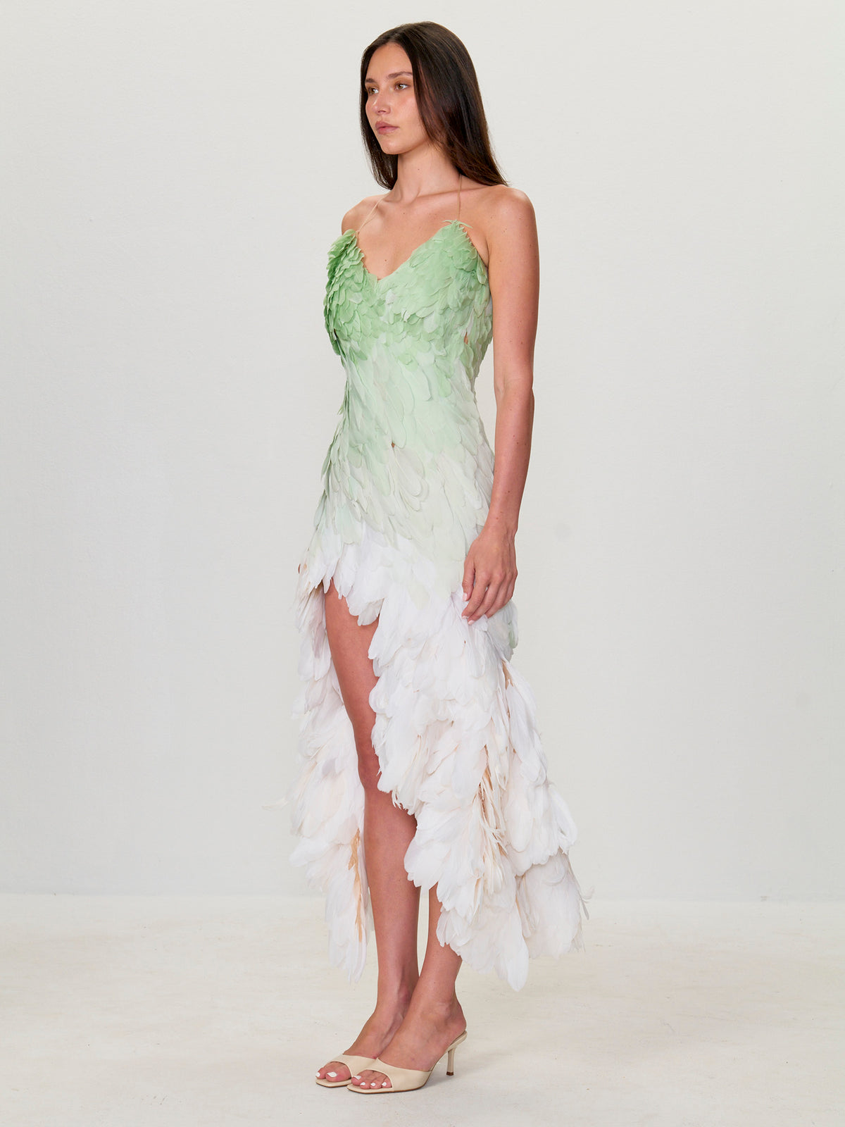 Feather Gown