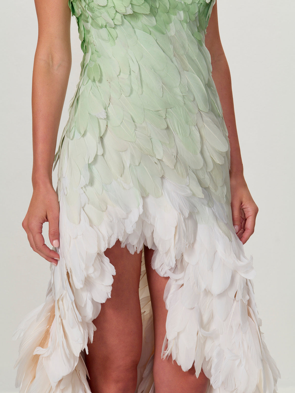 Feather Gown