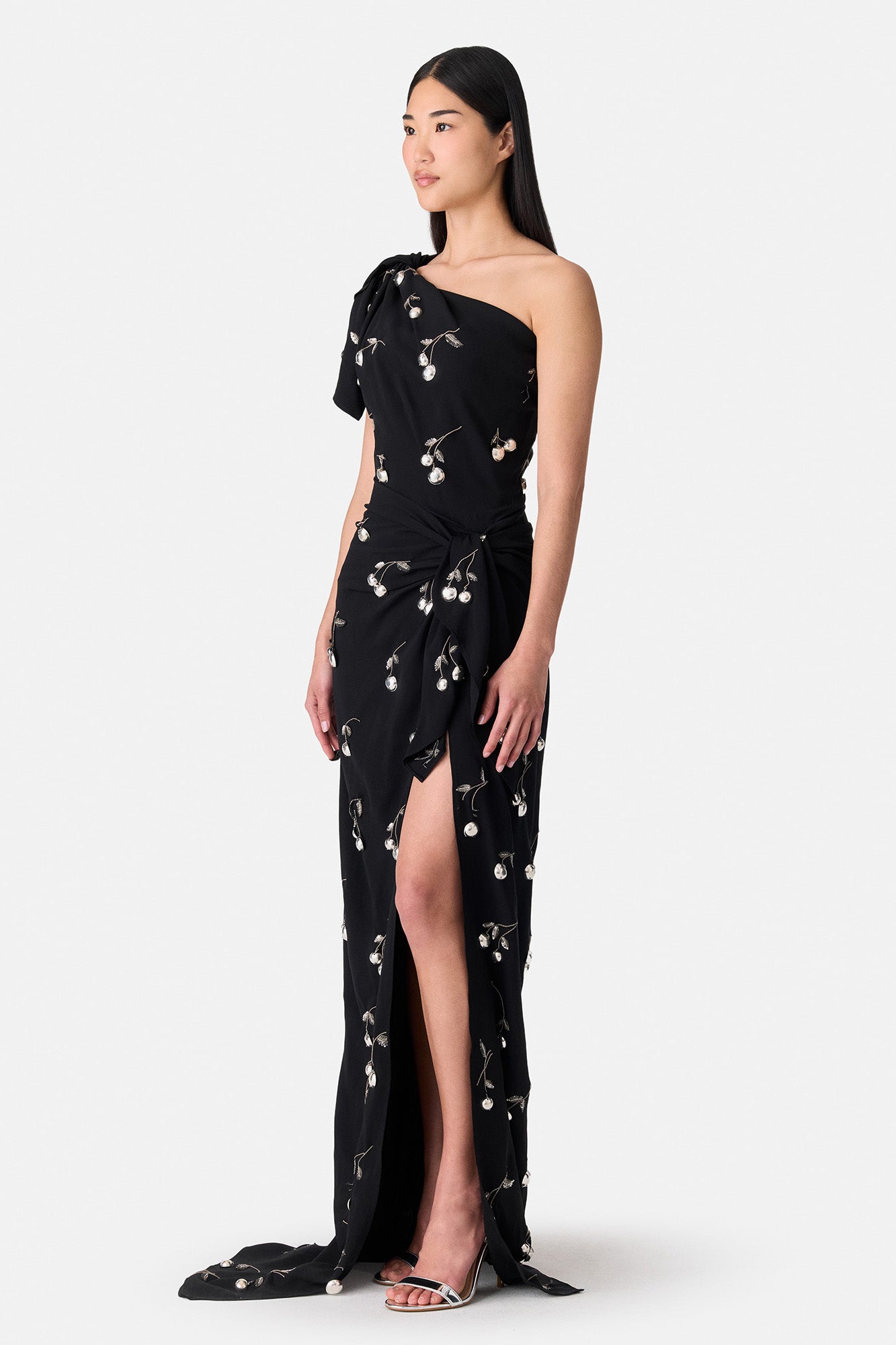 All Over Cherry Embroidered Dress