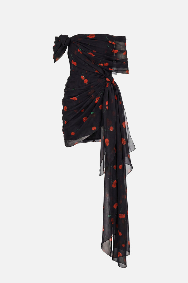 Printed Chiffon Dress